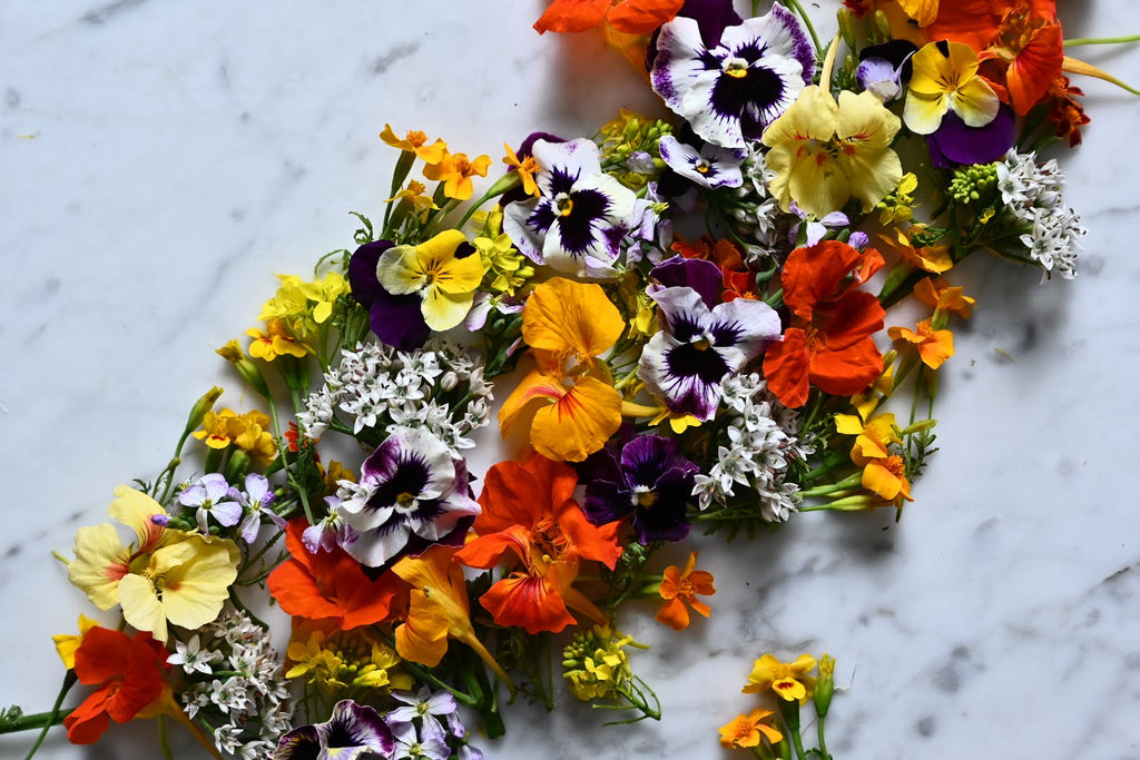 Edible Flowers