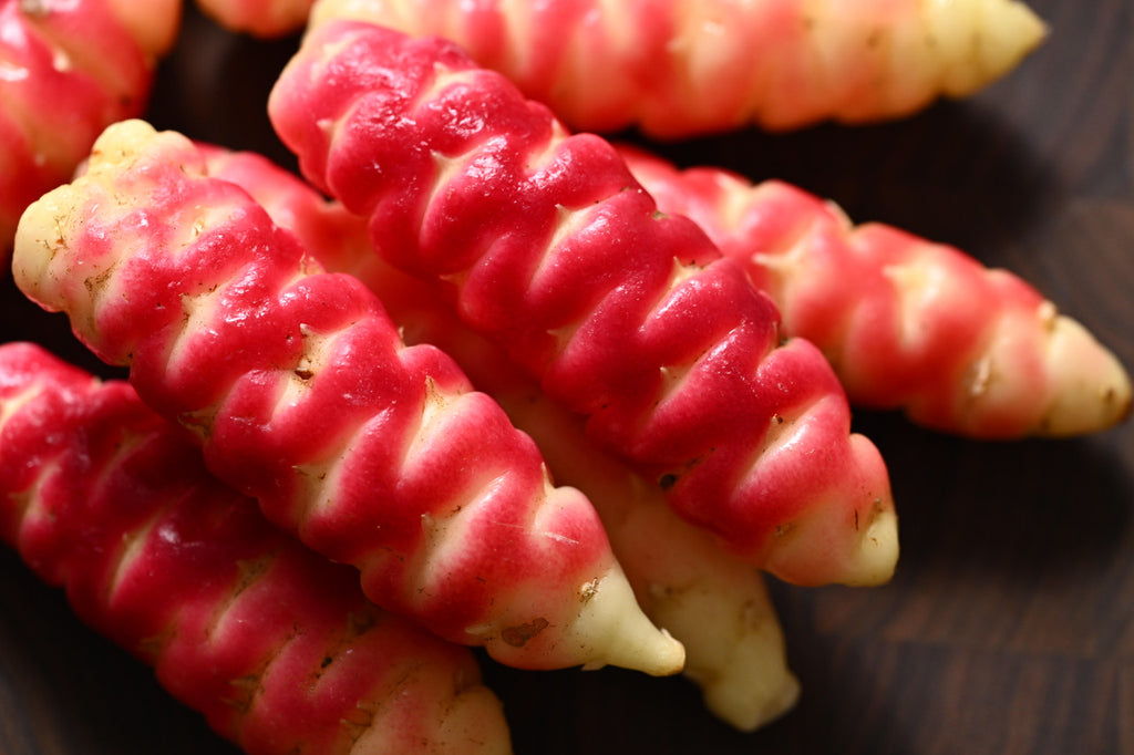 Girl, Dug, Farm, Girl & Dug, Girl n Dug, San Diego, California, Specialty, Produce, Smell, Flavor, Eye candy, Veggies, Root, Oca, Tuber, Oxalis, Potato, Sour, Cream, Peru, Peruvian