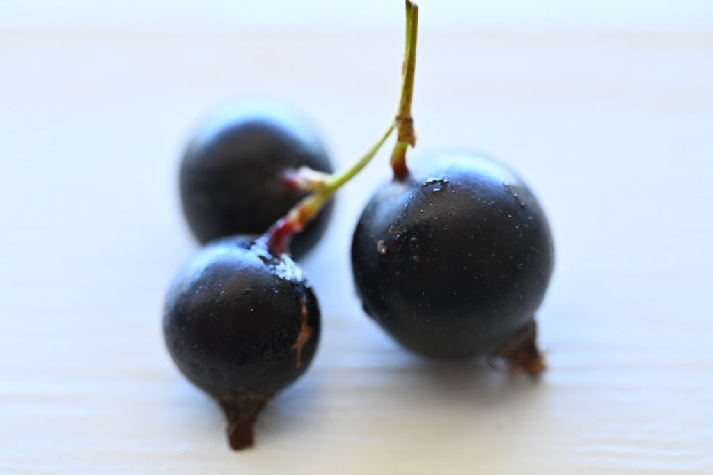 Girl, Dug, Farm, Girl & Dug, Girl n Dug, San Diego, California, Specialty, Produce, Smell, Flavor, Eye candy, Fresh, Berry, Fruit, Acidic, Tart, Sour, Bright, Apple Peel, Grape, Raisin, Plum, Prune, Currant, Clove, Giant Missouri