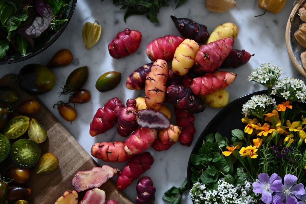 Girl, Dug, Farm, Girl & Dug, Girl n Dug, San Diego, California, Specialty, Produce, Oca, Tuber, Root, Vegetable, Potato, Sour, Oxalis, Peruvian, MSG, Creamy, Smooth